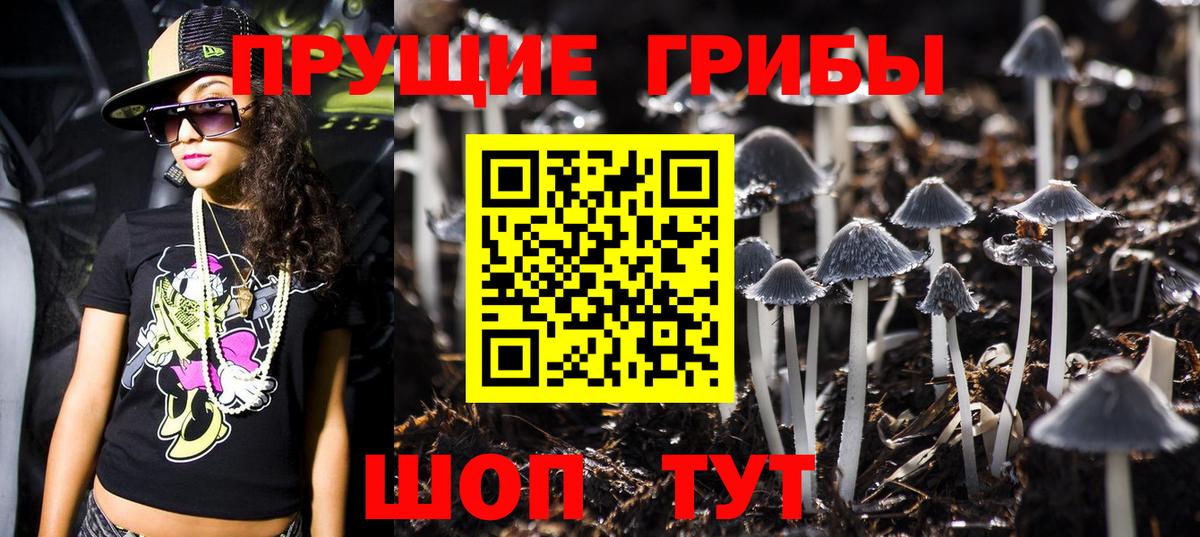 Псилоцибиновые грибы мухоморы Когалым